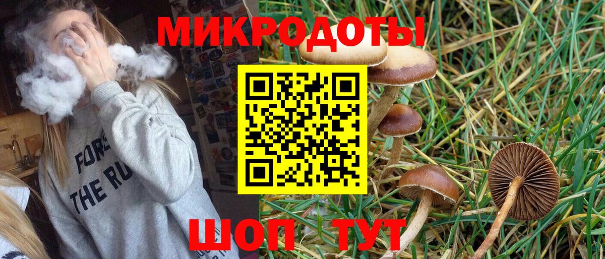 Псилоцибиновые грибы MAGIC MUSHROOMS Коммунар